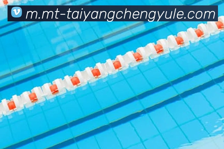 多媒体互动体验